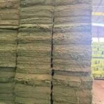 Poplar Wood Fiber - Image 3